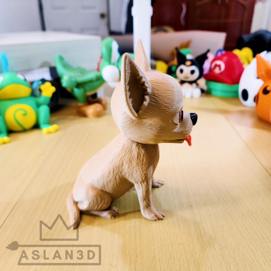 Chihuahua Multiparte
