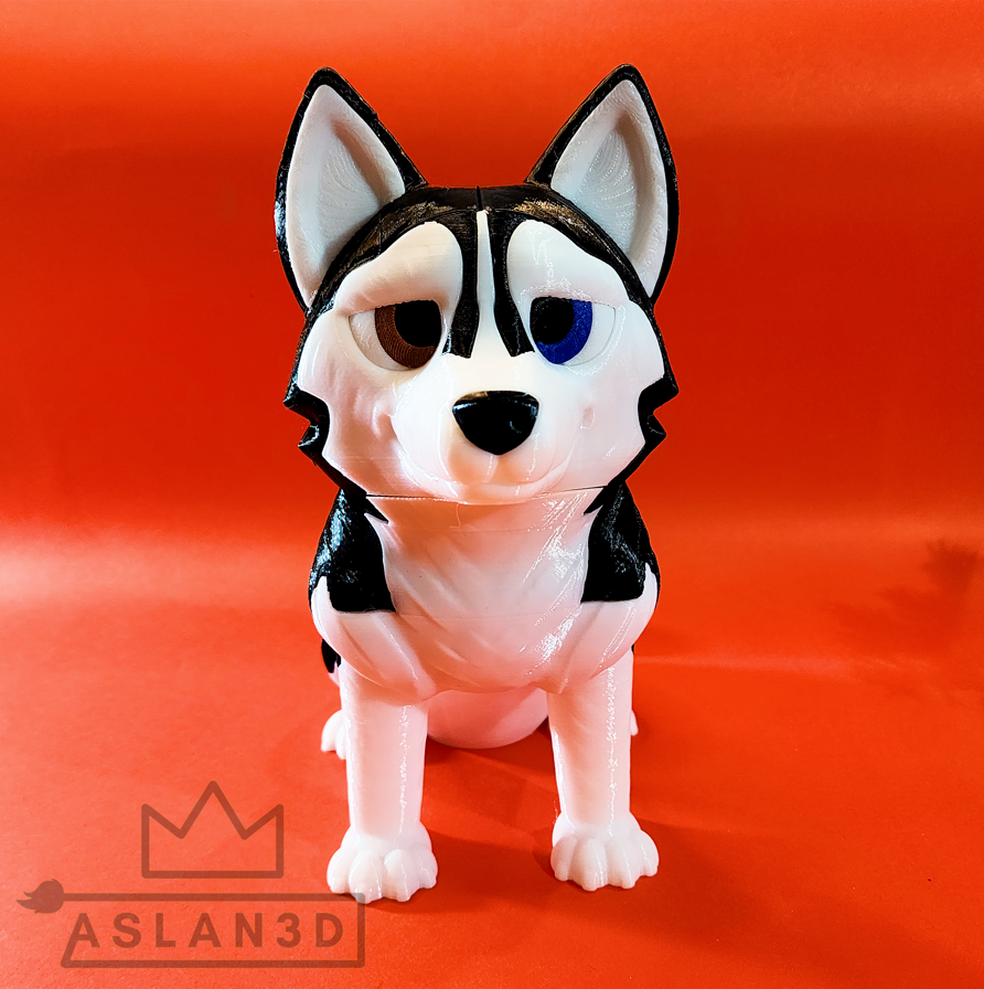 Dog Husky Siberiano
