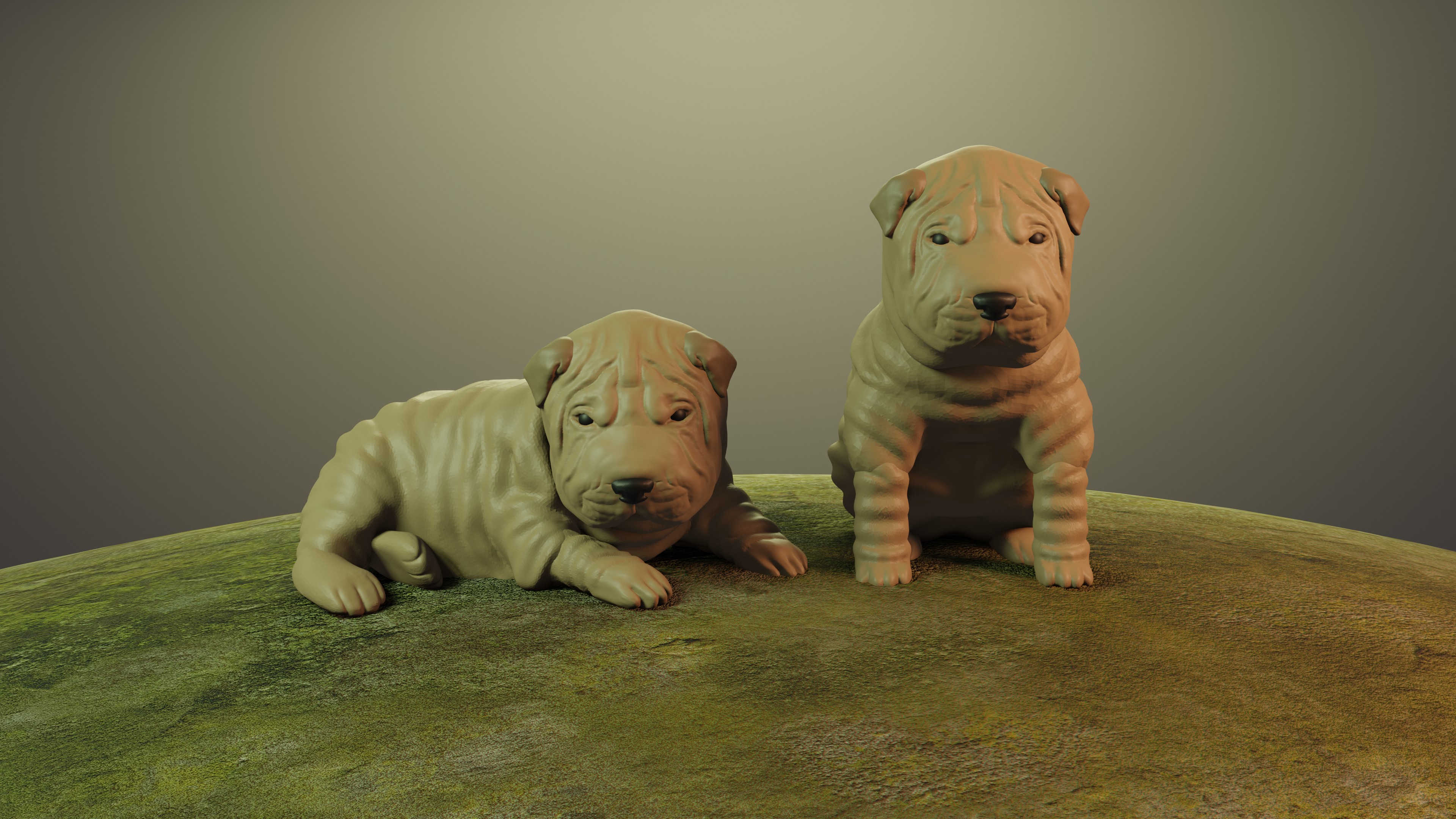 Dog Sharpei