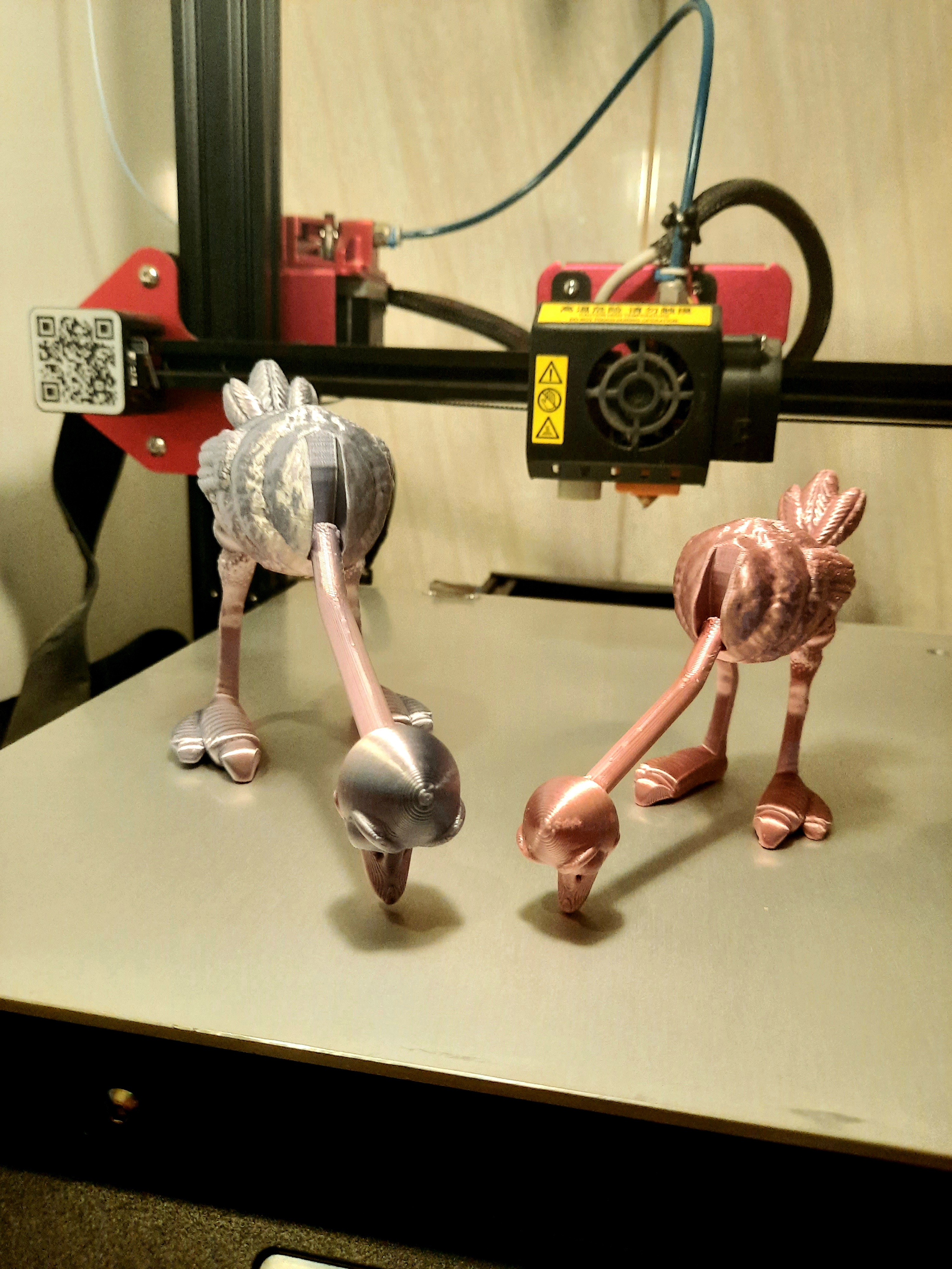 Flexi Ostrich Avestruz