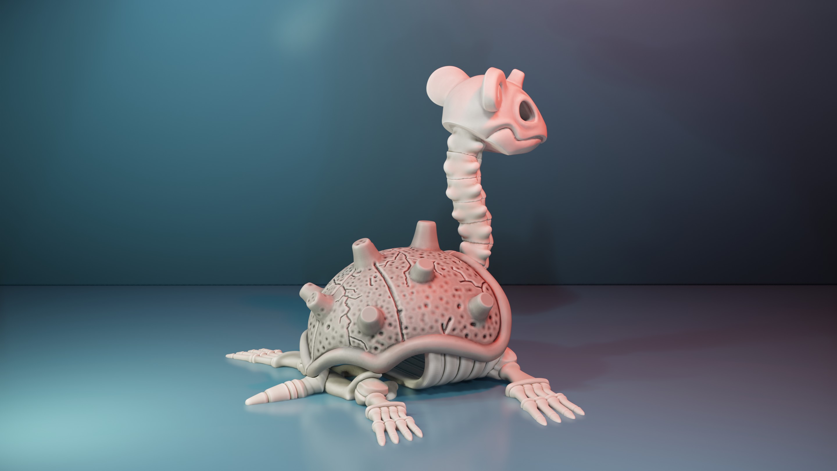 Miniatura 5