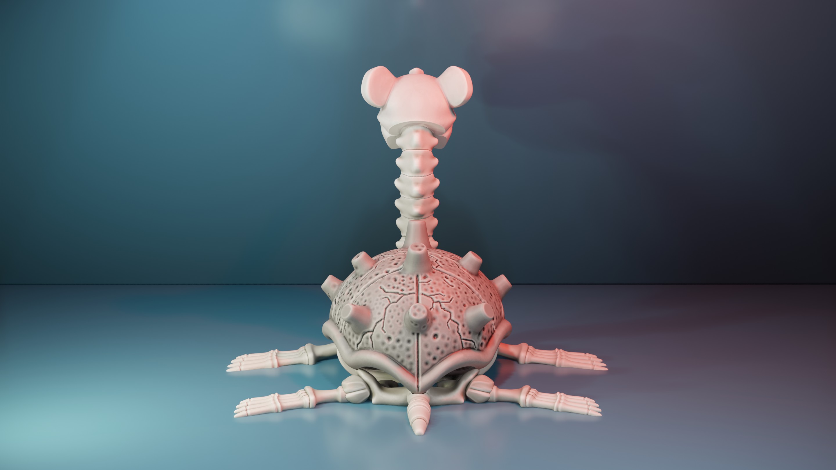 Miniatura 6