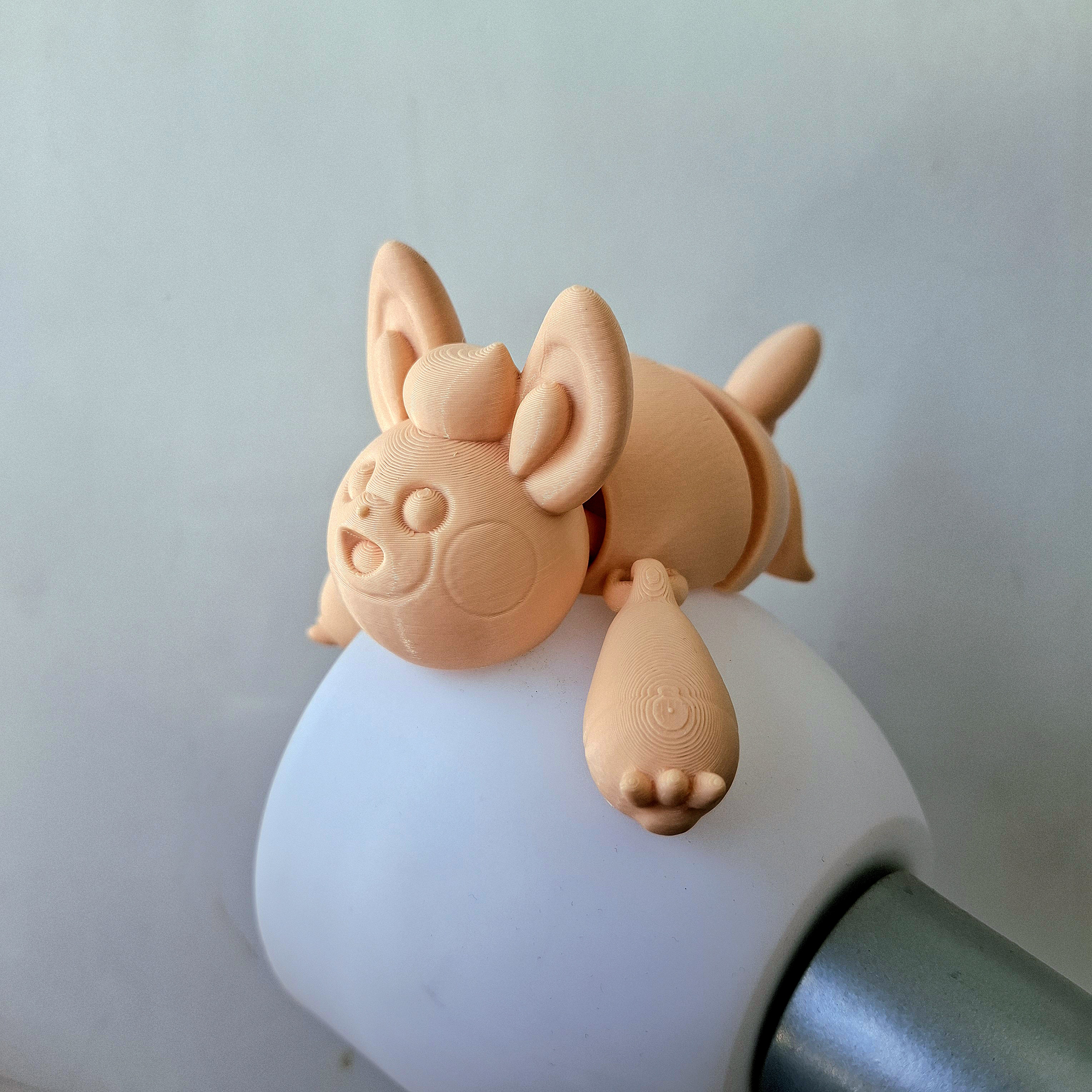 Pawmi Flexi