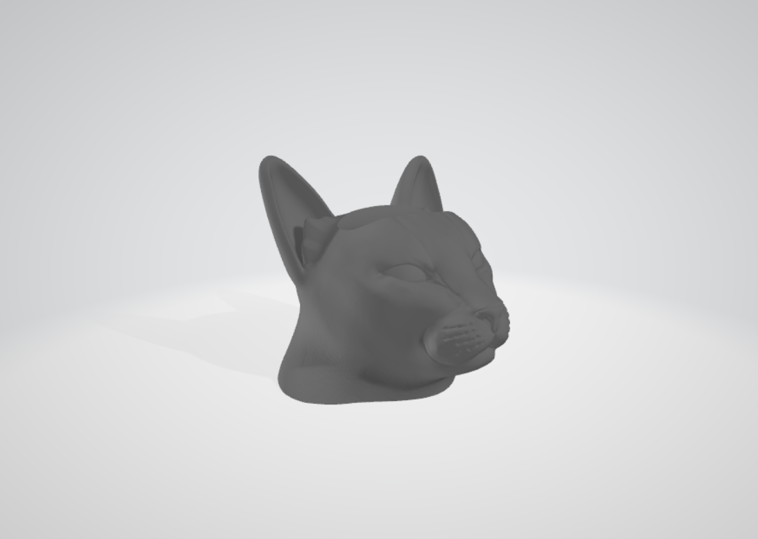 Soporte Cat para Control